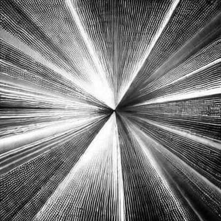 Four Trillion SHIB Moved. The Direction Was Never Disclosed.