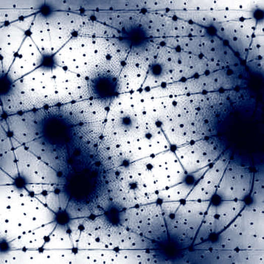 The Death of Altcoins? A Technical Autopsy of the Bitcoin Maximalist Narrative The Death of Altcoins? A Technical Autopsy of the Bitcoin Maximalist Narrative