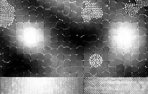 Gavin Baker's 200x Compute Prophecy Is a Coordination Crisis in Disguise Gavin Baker's 200x Compute Prophecy Is a Coordination Crisis in Disguise