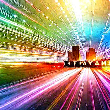The Silence Between the Blocks: When Data Voids Become the Loudest Signal in a Bear Market