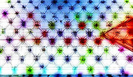 The 2.53% Hashrate Graveyard: A Forensic Autopsy of Bitcoin's Latest 'Anti-Spam' Fork
