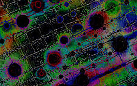 The Quiet War for AI's Compute Layer: Why Amir Salek's Move to Anthropic Matters More Than You Think The Quiet War for AI's Compute Layer: Why Amir Salek's Move to Anthropic Matters More Than You Think