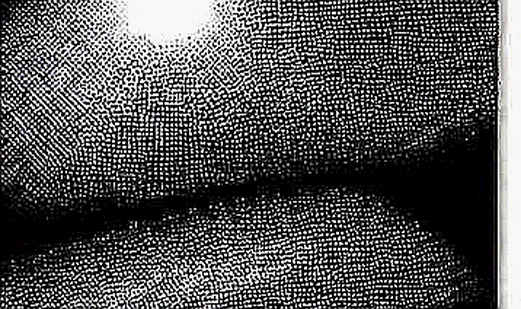 The Noise Floor: When Blockchain Analysis Yields Zero Information The Noise Floor: When Blockchain Analysis Yields Zero Information